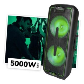 PARLANTE HARRISON BIG MAMMA (2X12'')